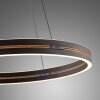 Paul Neuhaus PURE E-Loop Pendelleuchte LED Schwarz, 2-flammig, Fernbedienung