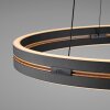 Paul Neuhaus PURE E-Loop Pendelleuchte LED Schwarz, 2-flammig, Fernbedienung