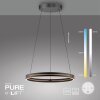 Paul Neuhaus PURE E-Loop Pendelleuchte LED Schwarz, 2-flammig, Fernbedienung