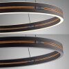 Paul Neuhaus PURE E-Loop Pendelleuchte LED Schwarz, 2-flammig, Fernbedienung