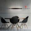Paul Neuhaus PURE E-Loop Pendelleuchte LED Schwarz, 2-flammig, Fernbedienung