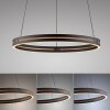Paul Neuhaus PURE E-Loop Pendelleuchte LED Schwarz, 2-flammig, Fernbedienung