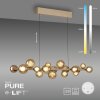 Paul Neuhaus PURE E-Popup Pendelleuchte LED Bronze, 18-flammig, Fernbedienung