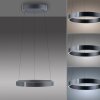 Paul Neuhaus PURE E-Clipse Pendelleuchte LED Grau, 2-flammig, Fernbedienung