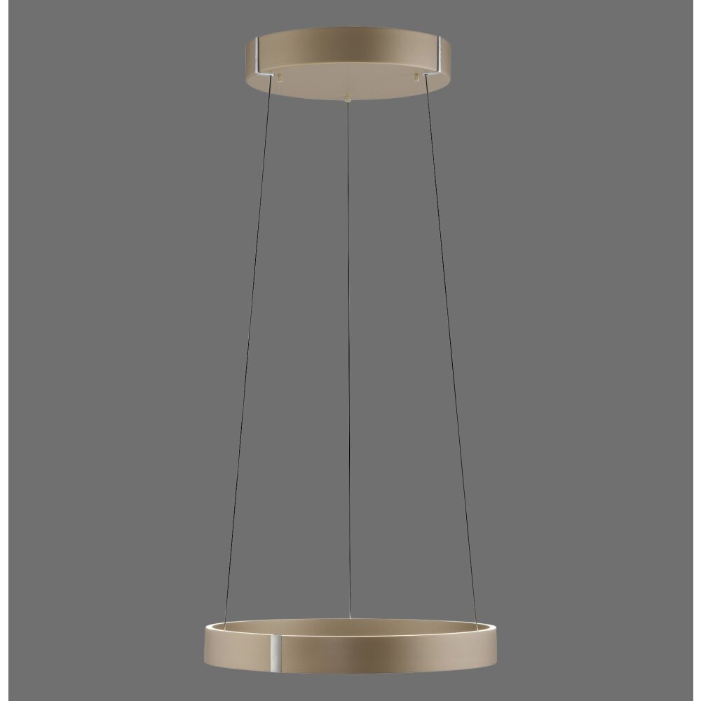 Paul Neuhaus PURE E-Clipse Pendelleuchte LED Bronze, 2-flammig, Fernbedienung main product photo