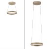 Paul Neuhaus PURE E-Clipse Pendelleuchte LED Bronze, 2-flammig, Fernbedienung
