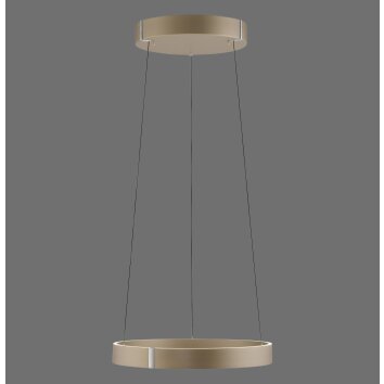 Paul Neuhaus PURE E-Clipse Pendelleuchte LED Bronze, 2-flammig, Fernbedienung