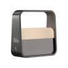 Paul Neuhaus PURE Go Tischleuchte LED Grau, 1-flammig