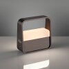 Paul Neuhaus PURE Go Tischleuchte LED Braun, 1-flammig