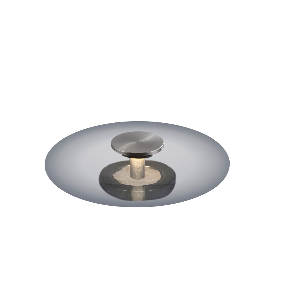 Paul Neuhaus PURE Vitrum Tischleuchte LED Grau, 1-flammig