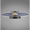 Paul Neuhaus PURE Vitrum Tischleuchte LED Grau, 1-flammig