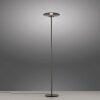 Paul Neuhaus PURE Vitrum Stehleuchte LED Grau, 2-flammig