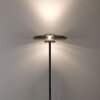 Paul Neuhaus PURE Vitrum Stehleuchte LED Grau, 2-flammig
