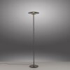Paul Neuhaus PURE Vitrum Stehleuchte LED Grau, 2-flammig