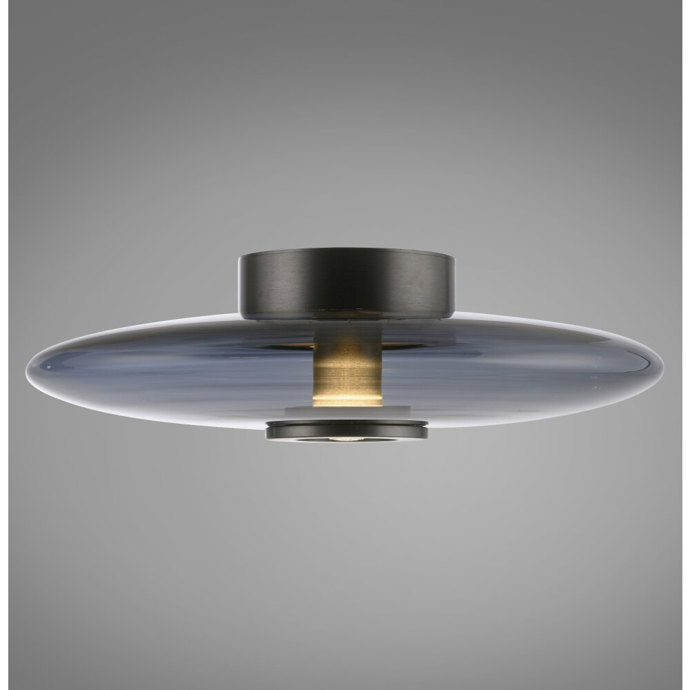 Paul Neuhaus PURE Vitrum Deckenleuchte LED Grau, 2-flammig main product photo