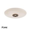 Paul Neuhaus PURE Vitrum Deckenleuchte LED Braun, 2-flammig