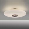Paul Neuhaus PURE Vitrum Deckenleuchte LED Braun, 2-flammig
