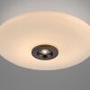 Paul Neuhaus PURE Vitrum Deckenleuchte LED Braun, 2-flammig