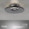 Paul Neuhaus PURE Moon Deckenleuchte LED Grau, 2-flammig