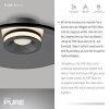 Paul Neuhaus PURE Moon Deckenleuchte LED Grau, 2-flammig