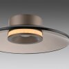Paul Neuhaus PURE Moon Deckenleuchte LED Bronze, 2-flammig