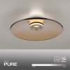 Paul Neuhaus PURE Moon Deckenleuchte LED Bronze, 2-flammig