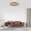 Paul Neuhaus PURE Moon Deckenleuchte LED Bronze, 2-flammig