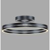 Paul Neuhaus PURE Loop Deckenleuchte LED Grau, 2-flammig, Fernbedienung