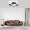 Paul Neuhaus PURE Loop Deckenleuchte LED Grau, 2-flammig, Fernbedienung
