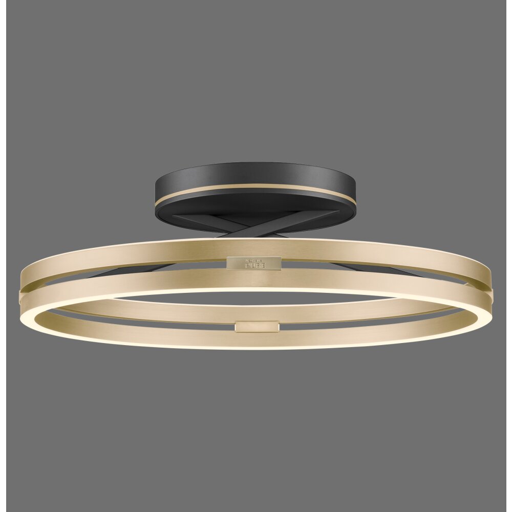 Paul Neuhaus PURE Loop Deckenleuchte LED Gold, Schwarz, 2-flammig, Fernbedienung main product photo