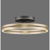 Paul Neuhaus PURE Loop Deckenleuchte LED Gold, Schwarz, 2-flammig, Fernbedienung