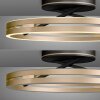 Paul Neuhaus PURE Loop Deckenleuchte LED Gold, Schwarz, 2-flammig, Fernbedienung