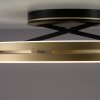 Paul Neuhaus PURE Loop Deckenleuchte LED Gold, Schwarz, 2-flammig, Fernbedienung
