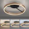 Paul Neuhaus PURE Loop Deckenleuchte LED Gold, Schwarz, 2-flammig, Fernbedienung