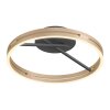 Paul Neuhaus PURE Loop Deckenleuchte LED Gold, Schwarz, 2-flammig, Fernbedienung