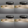 Paul Neuhaus PURE Loop Deckenleuchte LED Gold, Schwarz, 2-flammig, Fernbedienung