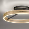 Paul Neuhaus PURE Loop Deckenleuchte LED Gold, Schwarz, 2-flammig, Fernbedienung