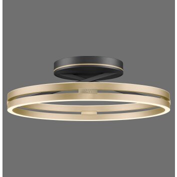 Paul Neuhaus PURE Loop Deckenleuchte LED Gold, Schwarz, 2-flammig, Fernbedienung