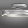 Paul Neuhaus PURE Loop Deckenleuchte LED Silber, 2-flammig, Fernbedienung