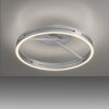 Paul Neuhaus PURE Loop Deckenleuchte LED Silber, 2-flammig, Fernbedienung