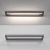 Paul Neuhaus PURE Puro Wandleuchte LED Grau, 1-flammig