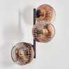 Ripoll Wandleuchte Glas 15 cm Klar, Kupferfarben, 3-flammig