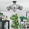 Ripoll Deckenleuchte Glas 15 cm Rauchfarben, 5-flammig