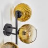 Koyoto Wandleuchte Glas 15 cm Gold, Klar, 3-flammig