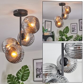 Ripoll Deckenleuchte Glas 15 cm Rauchfarben, 4-flammig Ripoll Deckenleuchte Glas 15 cm Rauchfarben, 4-flammig