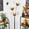Koyoto Stehleuchte Glas 15 cm Gold, Klar, 3-flammig