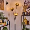 Koyoto Stehleuchte Glas 15 cm Gold, Klar, 3-flammig