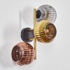 Ripoll Wandleuchte Glas 15 cm Gold, Schwarz, 3-flammig