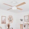 Hausvik Deckenventilator mit Beleuchtung Braun, Weiß, 1-flammig, Fernbedienung