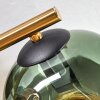 Ripoll Deckenleuchte Glas 15 cm Gold, Schwarz, 3-flammig